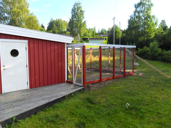 Integrating a dog kennel in your garden